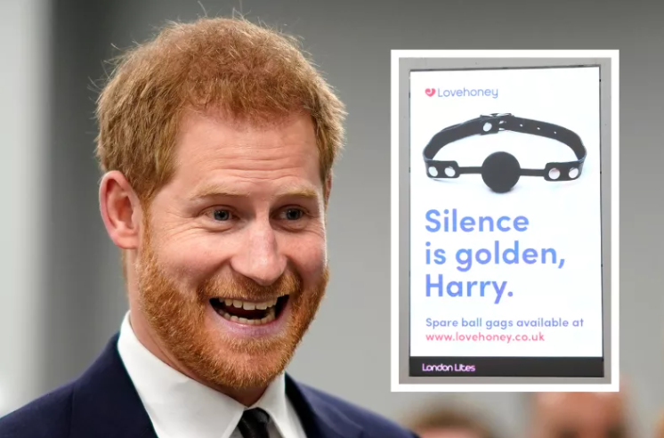 Prince Harry Mocked by Adult Toy Company Over Penis Story: 'Too Far'